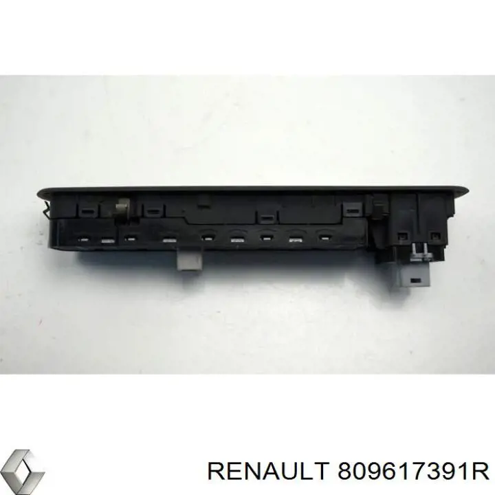  Renault (RVI) 809617391R precio, desde 113,26 EUR