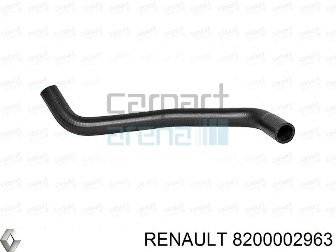 8200002963 Renault (RVI)