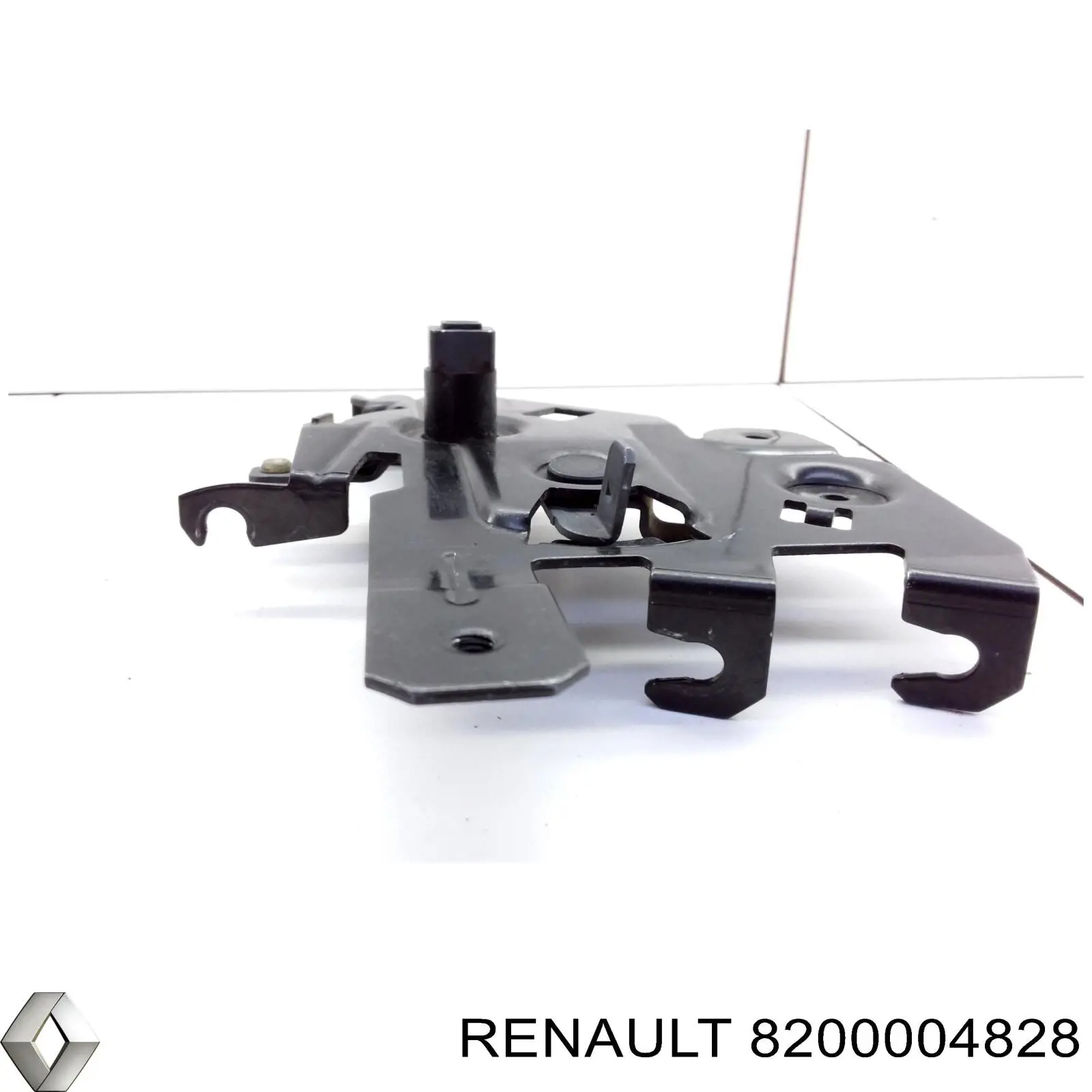 8200004828 Renault (RVI) 