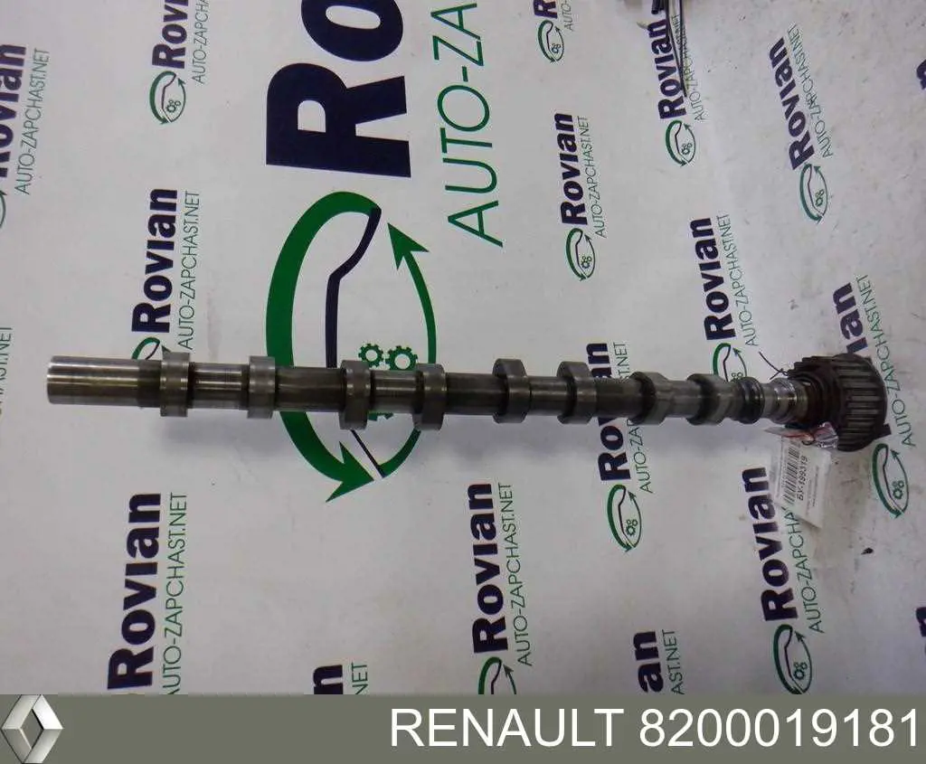 Árboles de levas Renault (RVI) 8200019181 precio, desde 139,39 EUR