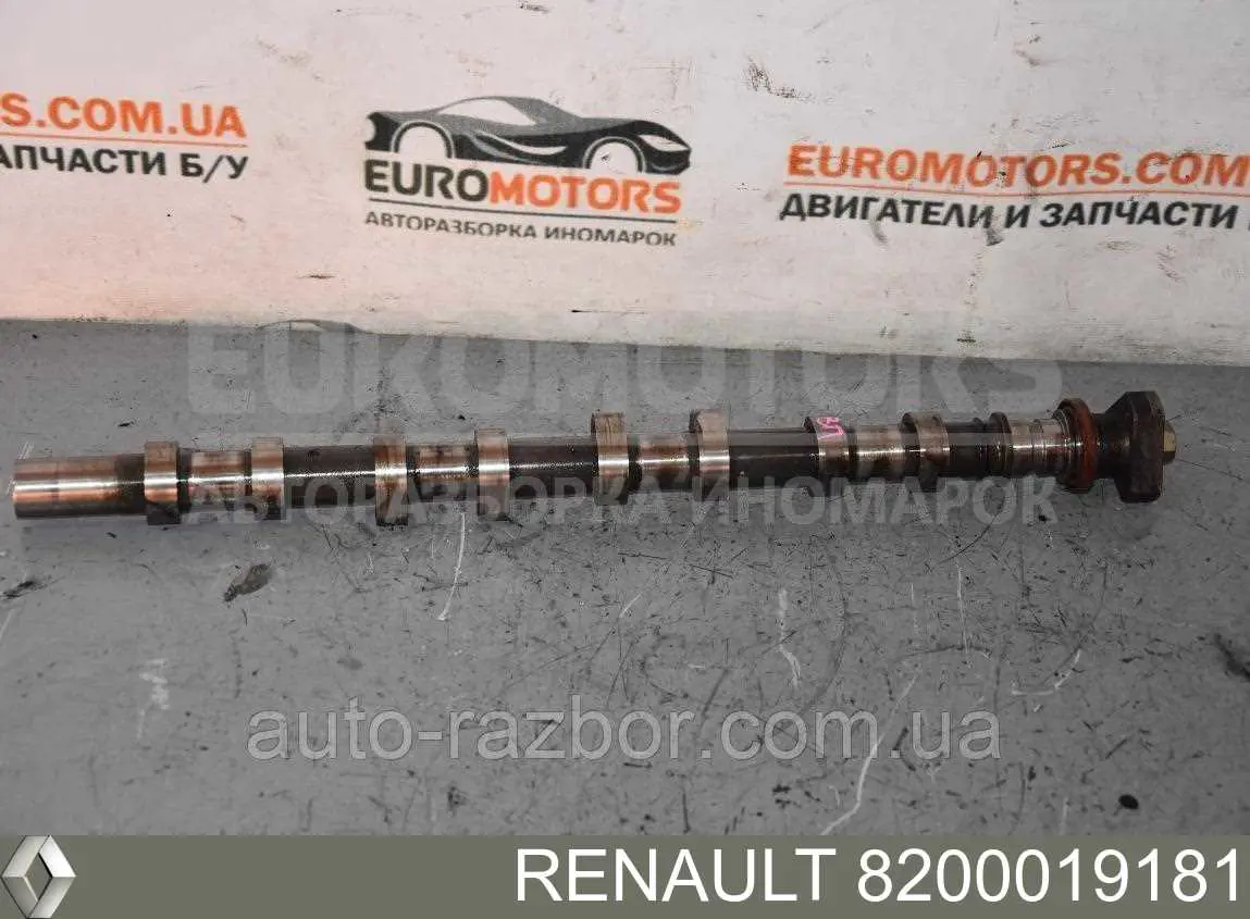 Comprar 8200019181 Renault (RVI) Árbol de levas