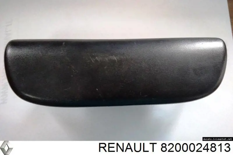 Comprar 8200024813 Renault (RVI) Luz matricula