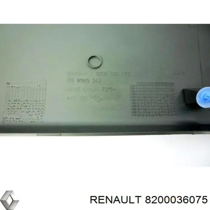 8200036075 Renault (RVI) moldura de puerta corrediza