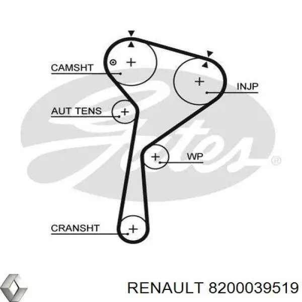 8200039519 Renault (RVI) correa distribución