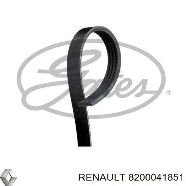 8200041851 Renault (RVI) correa trapezoidal