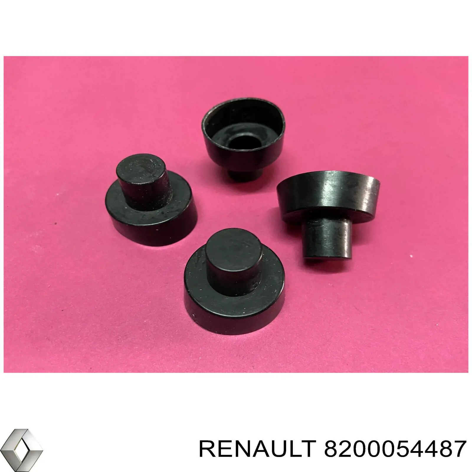 8200054487 Renault (RVI)