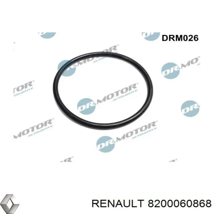 Cuerpo de aceleración completo Renault (RVI) 8200060868 precio, desde 196,23 EUR