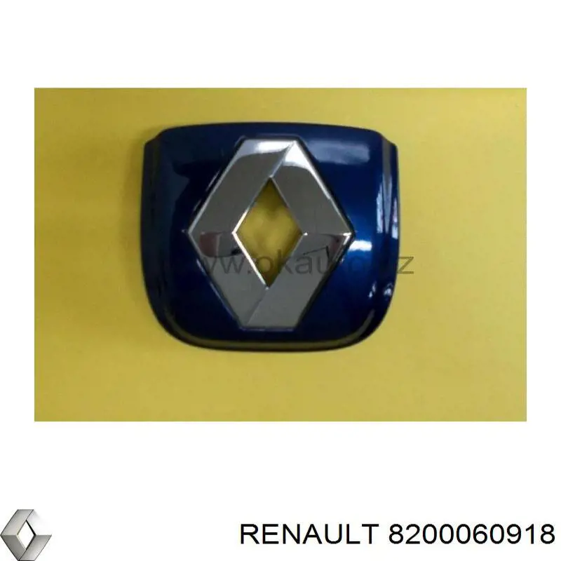 Moldura de puerta de maletero (puerta 3/5) RENAULT 8200060918