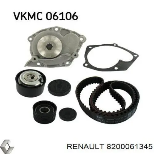 8200061345 Renault (RVI) rodillo, cadena de distribución