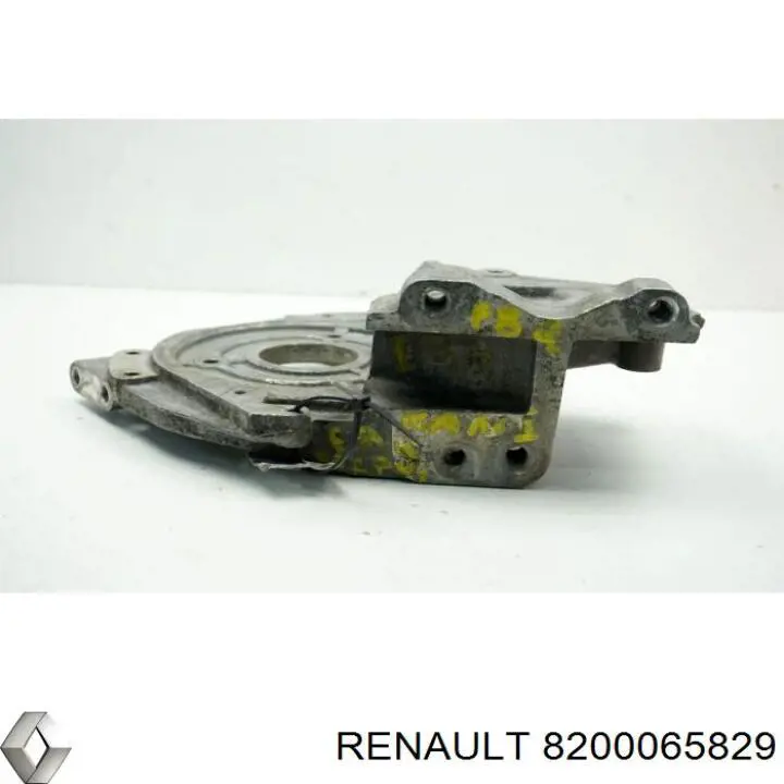 8200065829 Renault (RVI) 