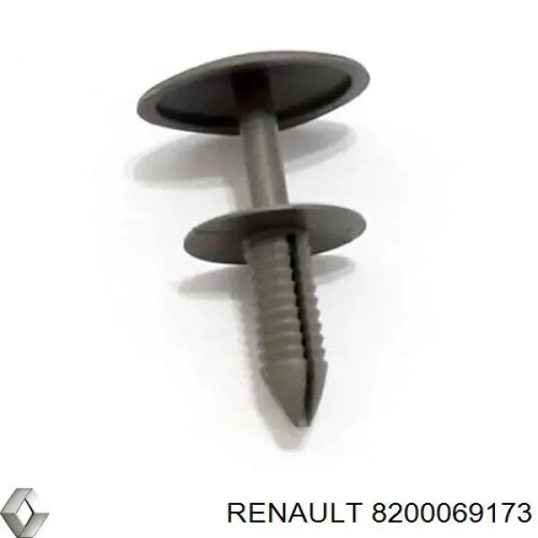 8200069173 Renault (RVI)