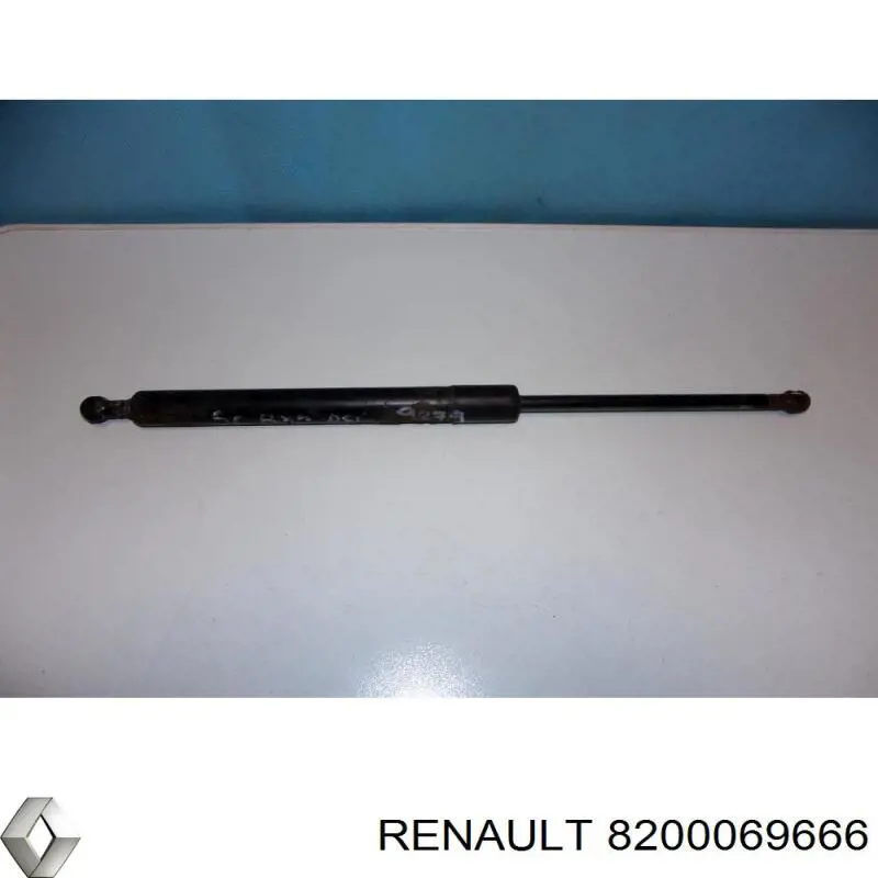 8200069666 Renault (RVI) Estuche para gafas