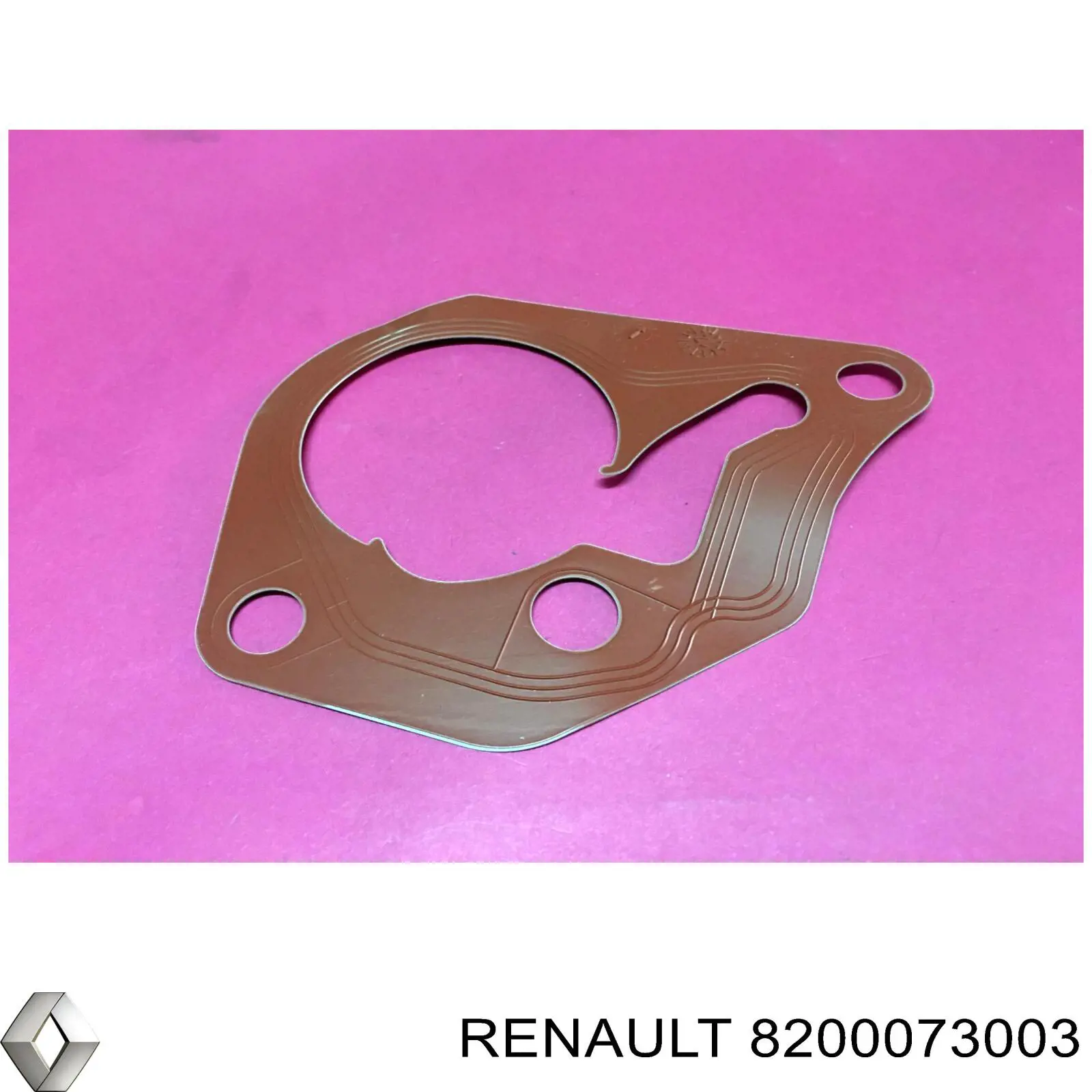 Comprar 8200073003 Renault (RVI) Junta de la bomba de vacío