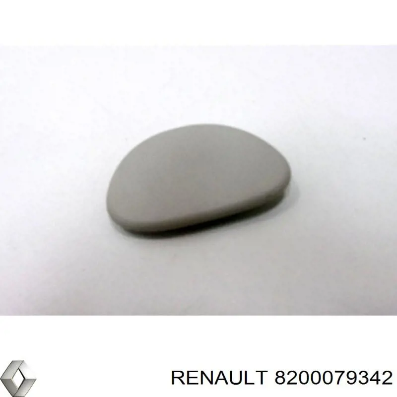 8200079342 Renault (RVI)