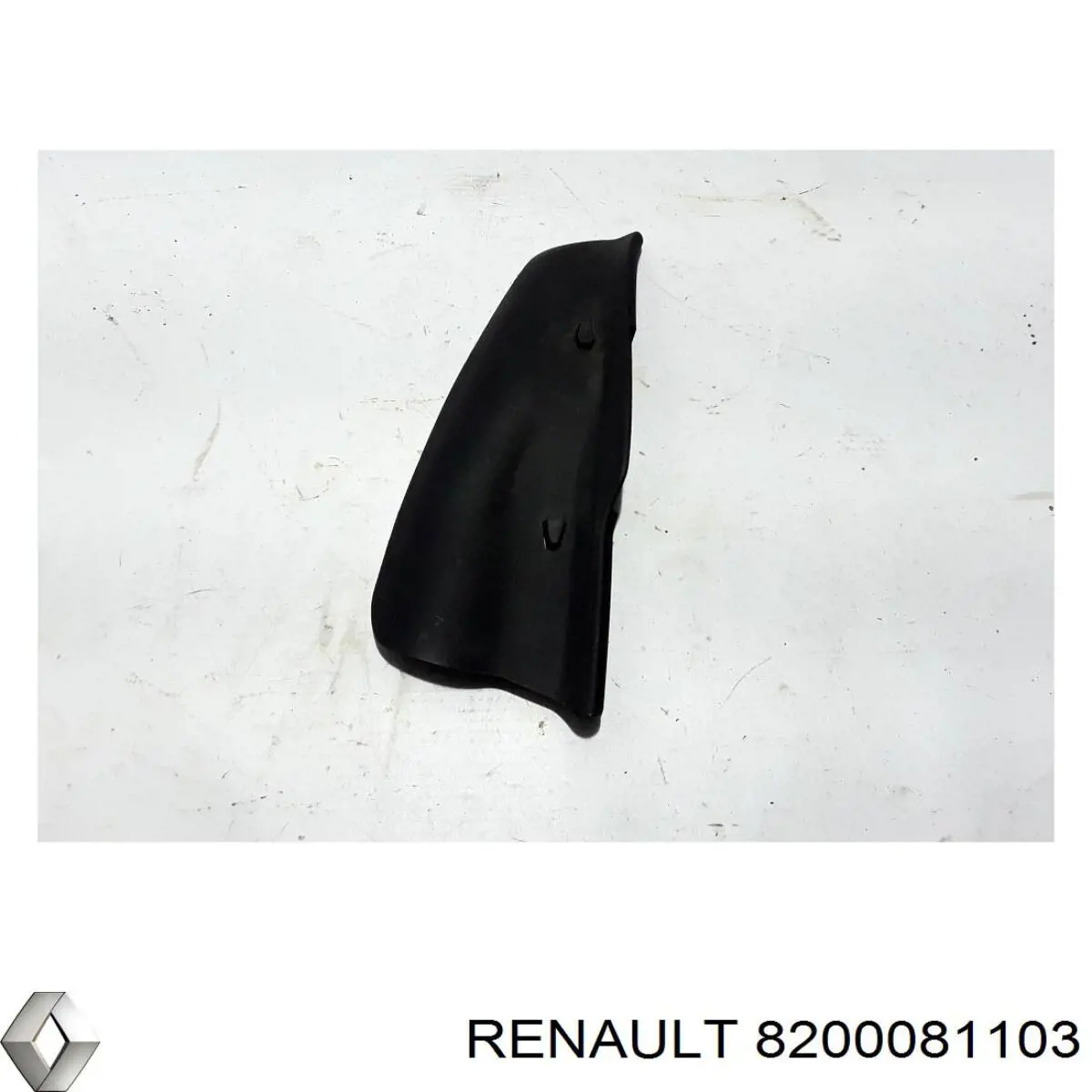 8200081103 Renault (RVI)