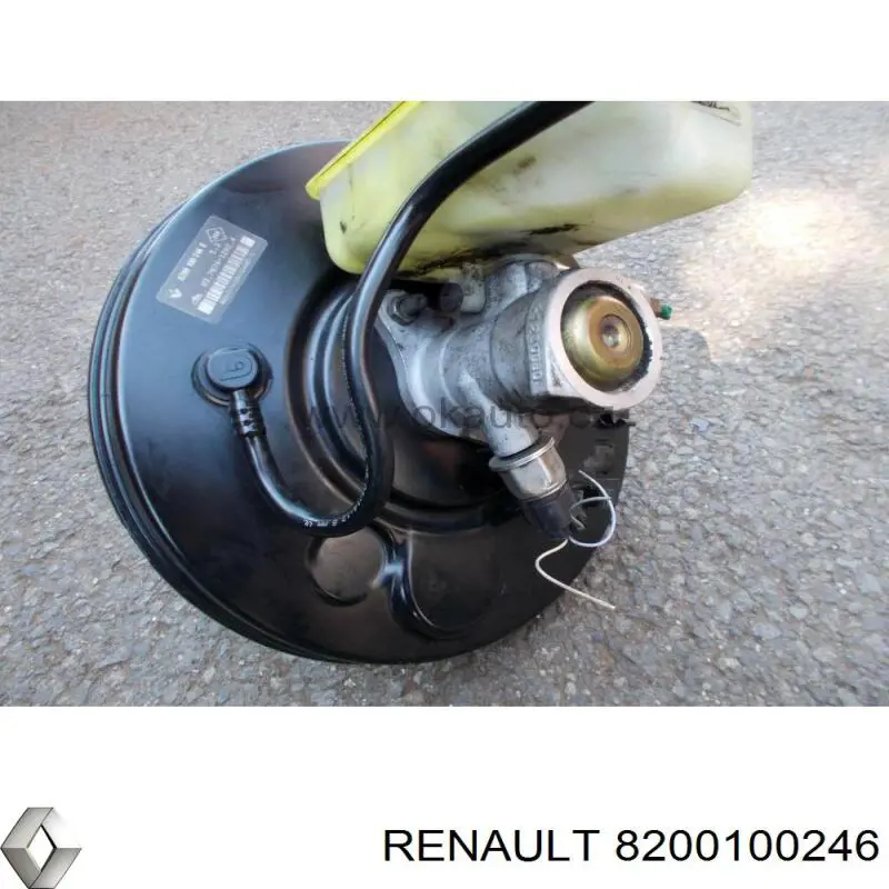 8200100246 Renault (RVI) servofrenos