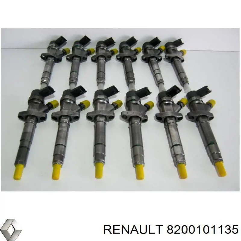 8200101135 Renault (RVI) inyector