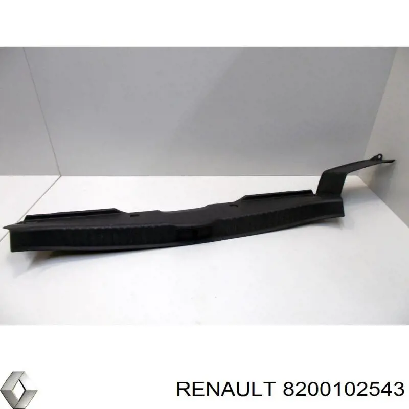 8200102543 Renault (RVI)