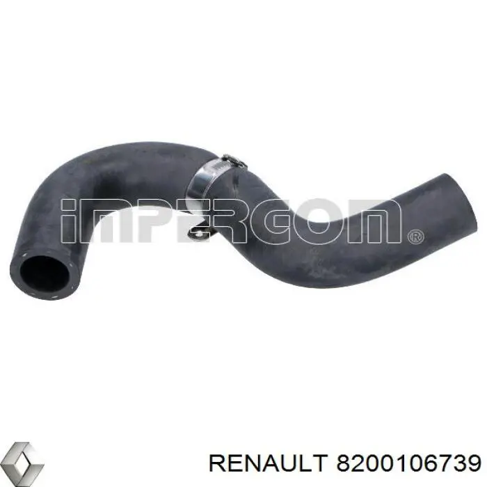 8200106739 Renault (RVI)