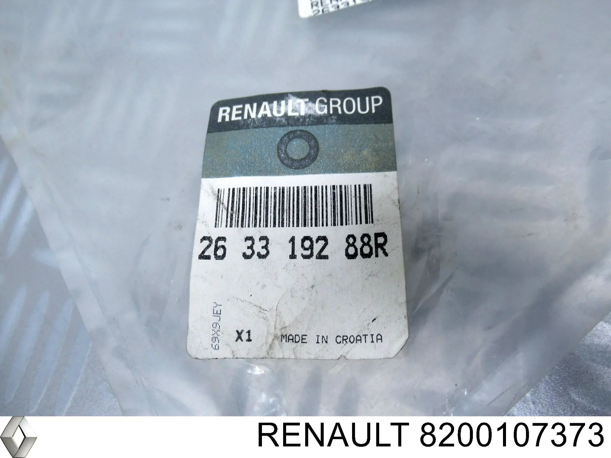 Manecilla de puerta de batientes, izquierda exterior Renault (RVI) 8200107373