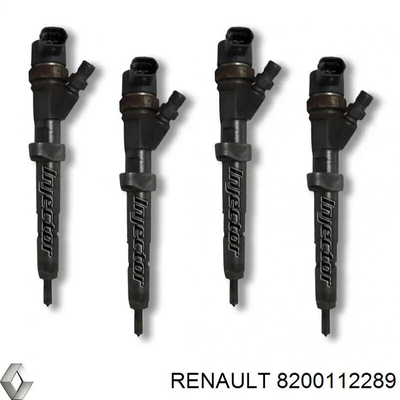 Inyectores Renault (RVI) 166008834R precio, desde 137,49 EUR