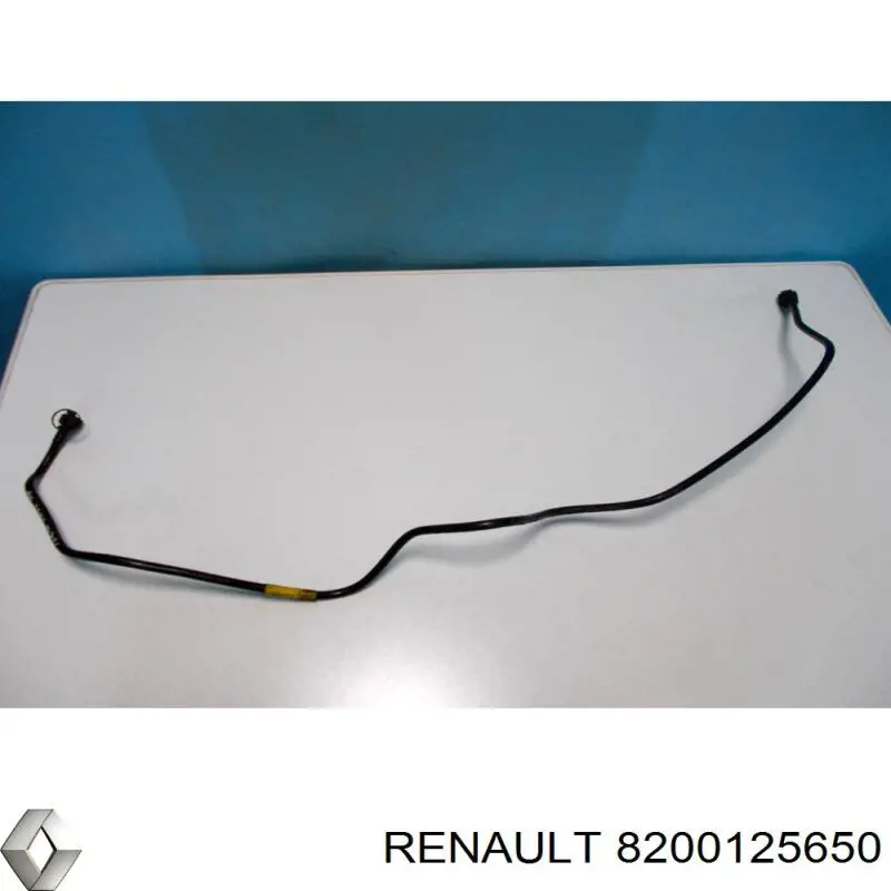 8200125650 Renault (RVI)