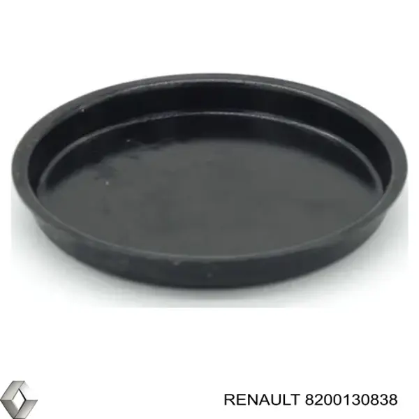 8200130838 Renault (RVI) 