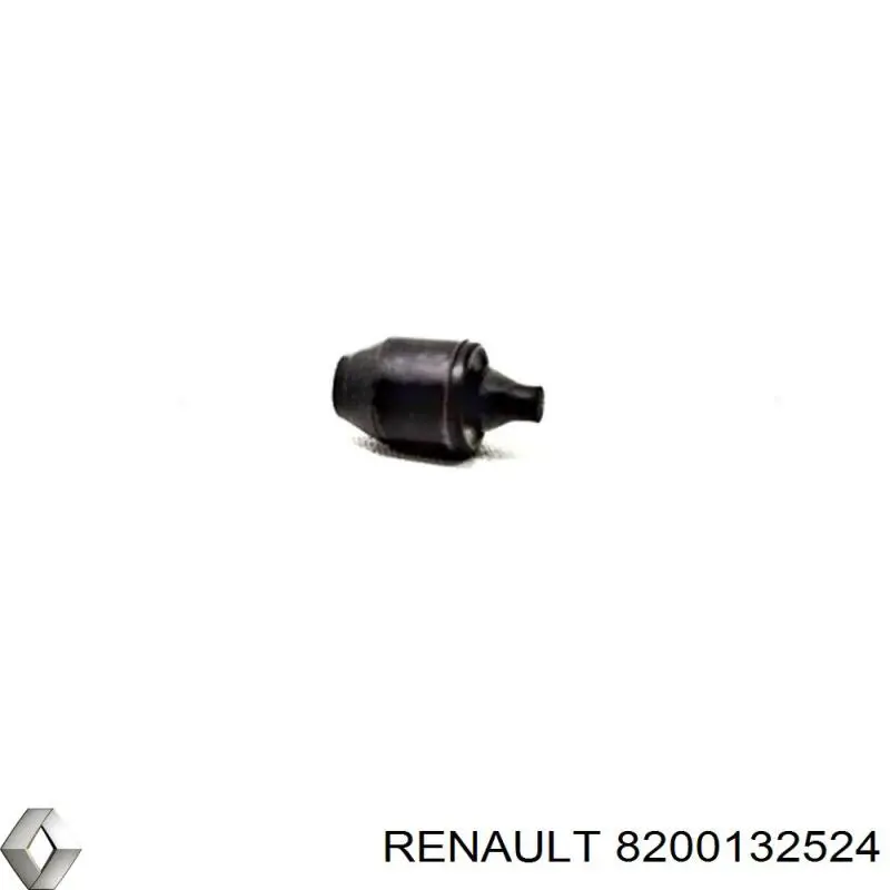 8200132524 Renault (RVI)