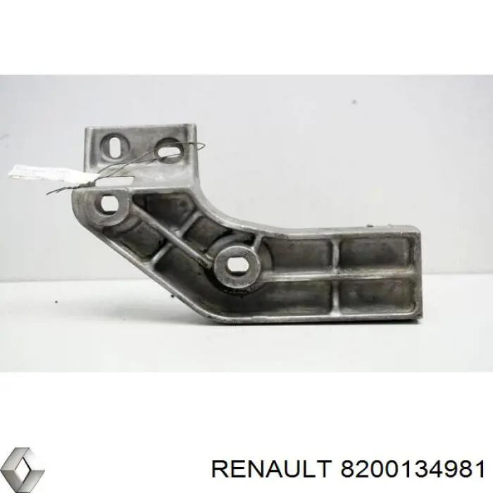 8200134981 Renault (RVI)