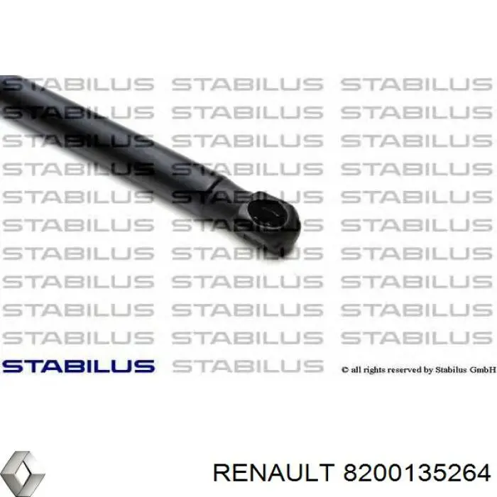 Amortiguador Para Porton Trasero (3/5 Puertas Traseras (Lisas) para Renault Megane (KM0)