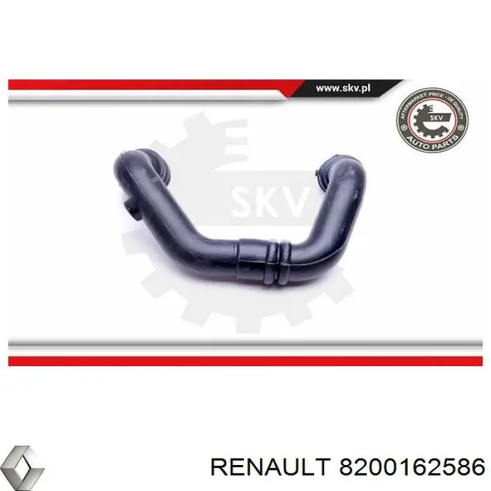 Tubo de salida de aire del turbocompresor Renault (RVI) 8200162586 precio, desde 39,24 EUR