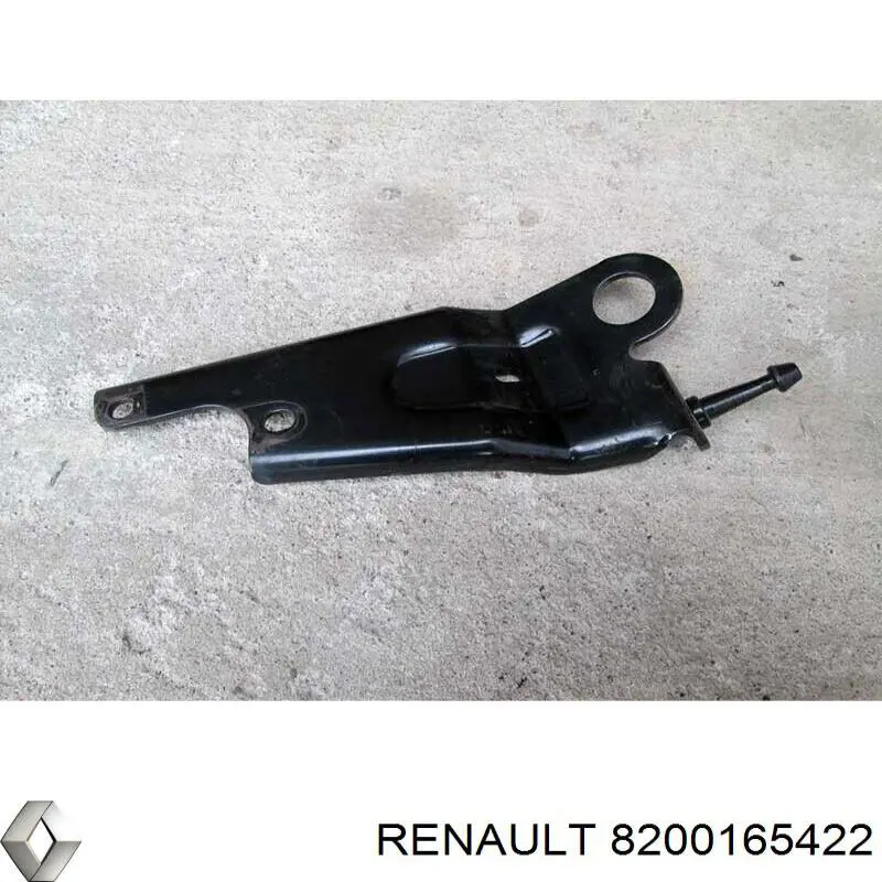 8200165422 Renault (RVI)