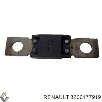 8200177919 Renault (RVI) Fusibles