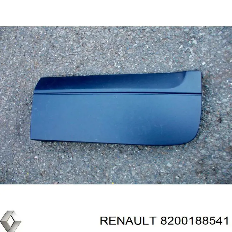Moldura puerta trasera derecha para Renault Kangoo (FC0)