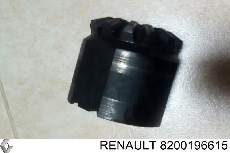 Satélite del diferencial 8200196615 Renault (RVI)