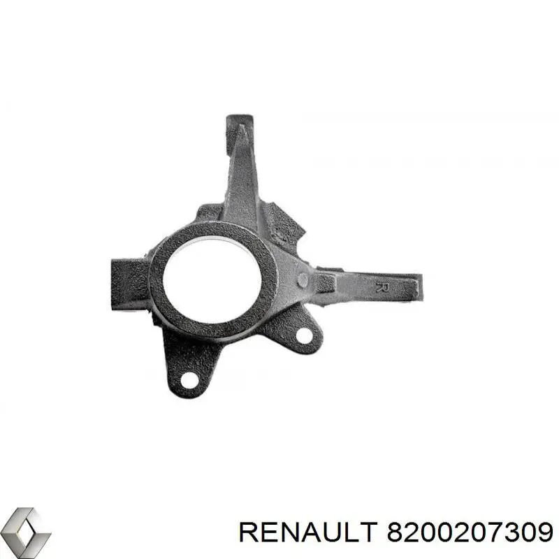 8200207309 Renault (RVI) muñón del eje, suspensión de rueda, delantero derecho