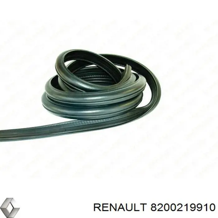 Junta de puerta trasera (en carrocería) Renault (RVI) 8200219910 precio, desde 79,22 EUR