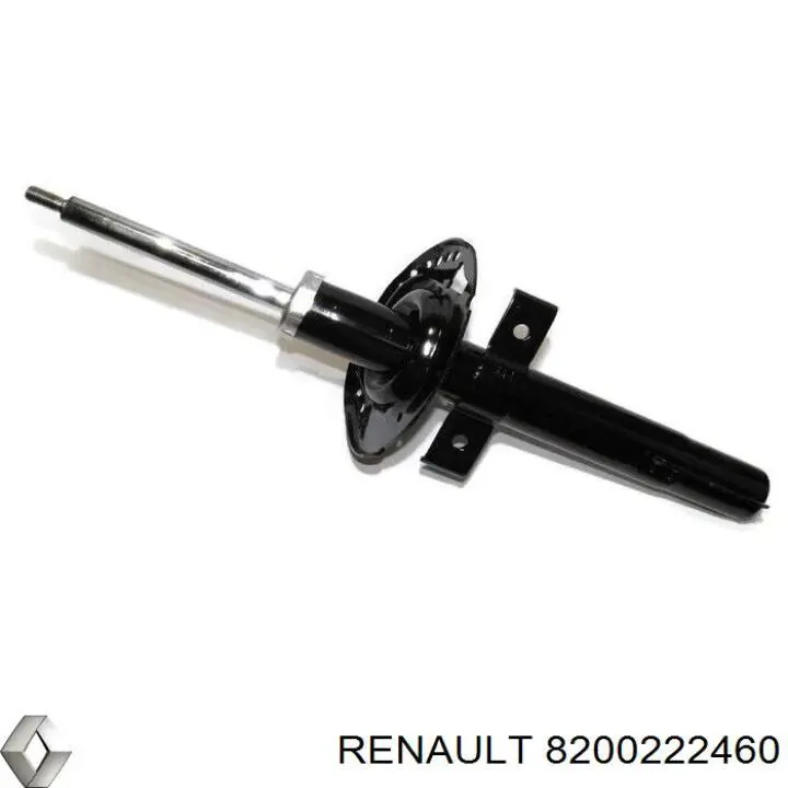 8200222460 Renault (RVI)