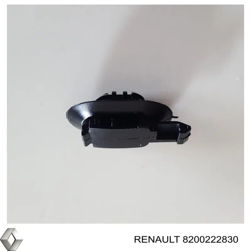 8200222830 Renault (RVI)