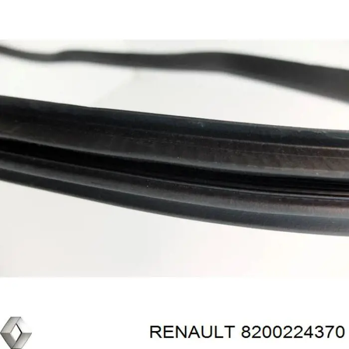 Comprar 8200224370 Renault (RVI) Junta de la bomba de vacío