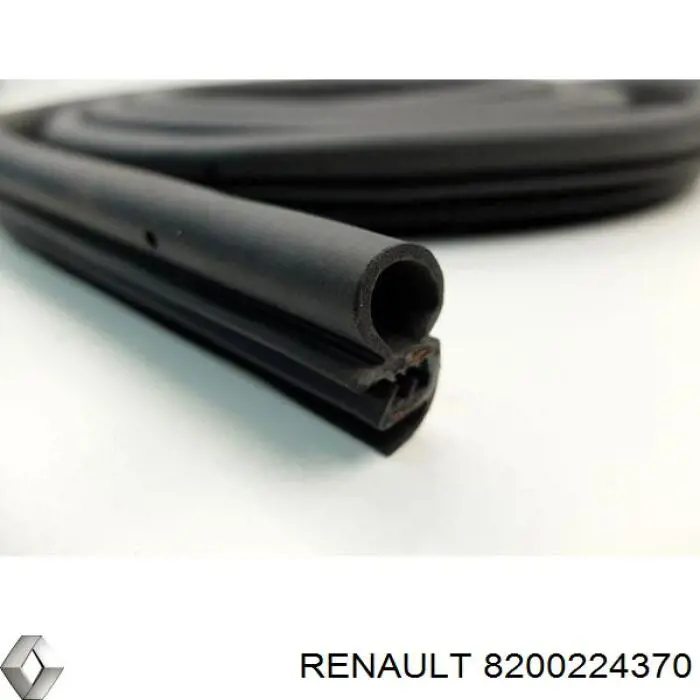 Junta de la bomba de vacío 8200224370 Renault (RVI)