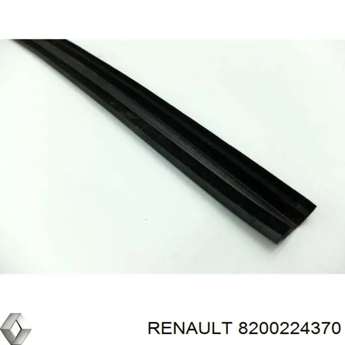 Junta de la bomba de vacío 8200224370 Renault (RVI)