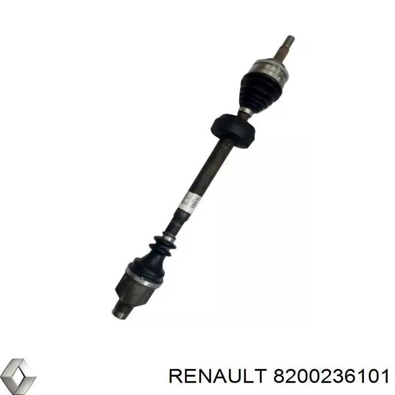 8200236101 Renault (RVI)