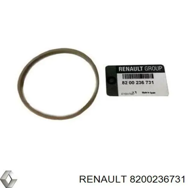 Junta cuerpo mariposa 8200236731 Renault (RVI)