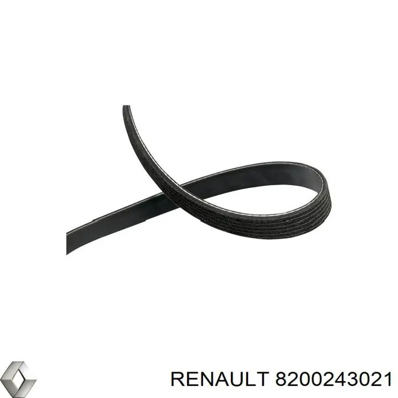 Comprar 8200243021 Renault (RVI) Correa trapezoidal