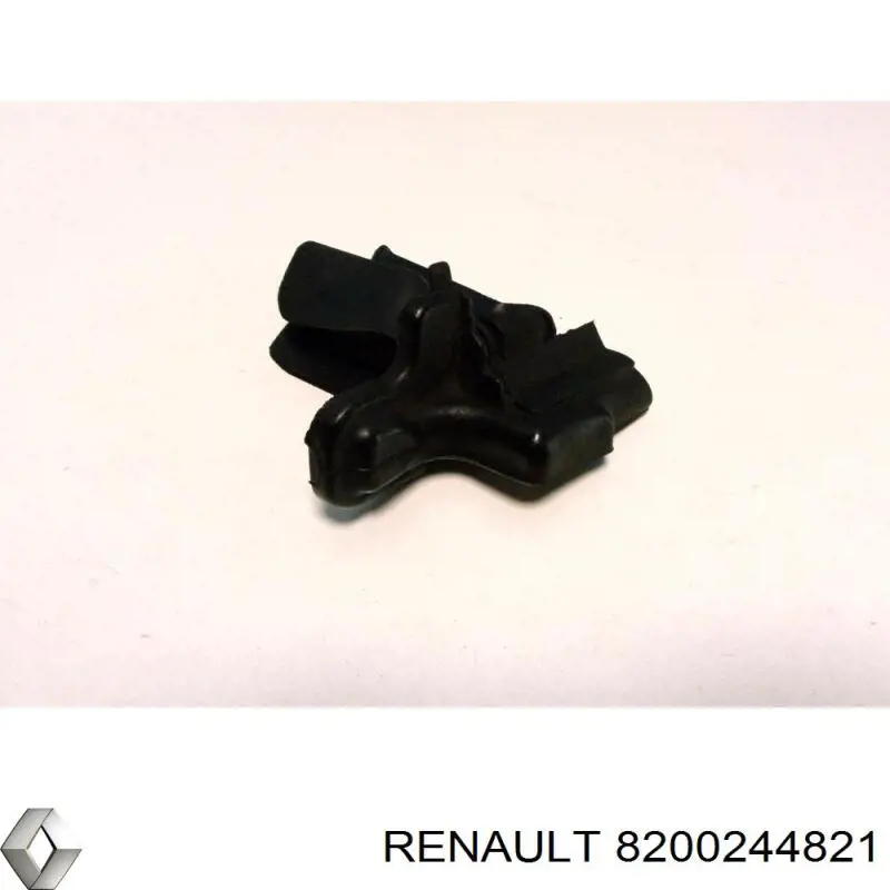 8200244821 Renault (RVI)