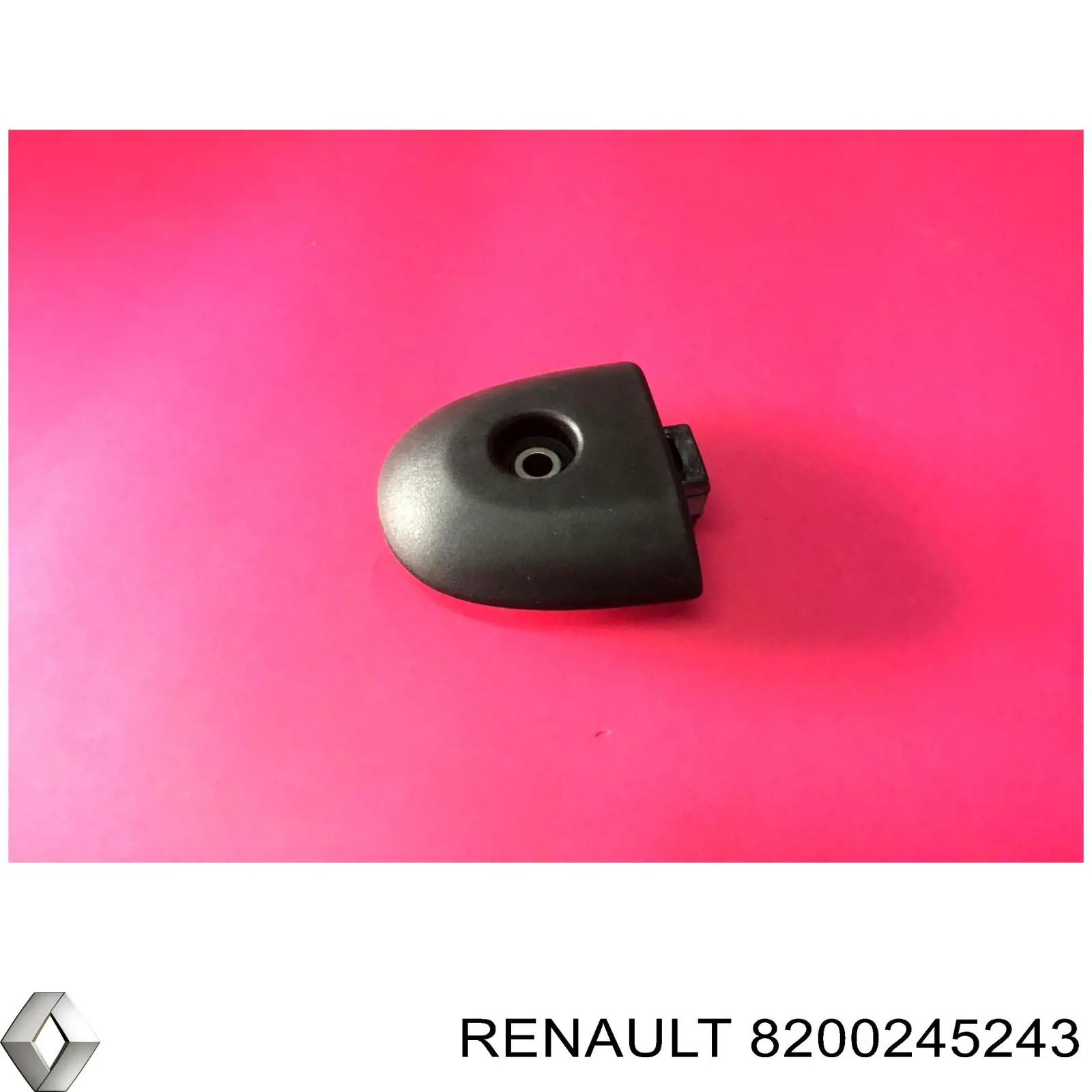 8200245243 Renault (RVI)