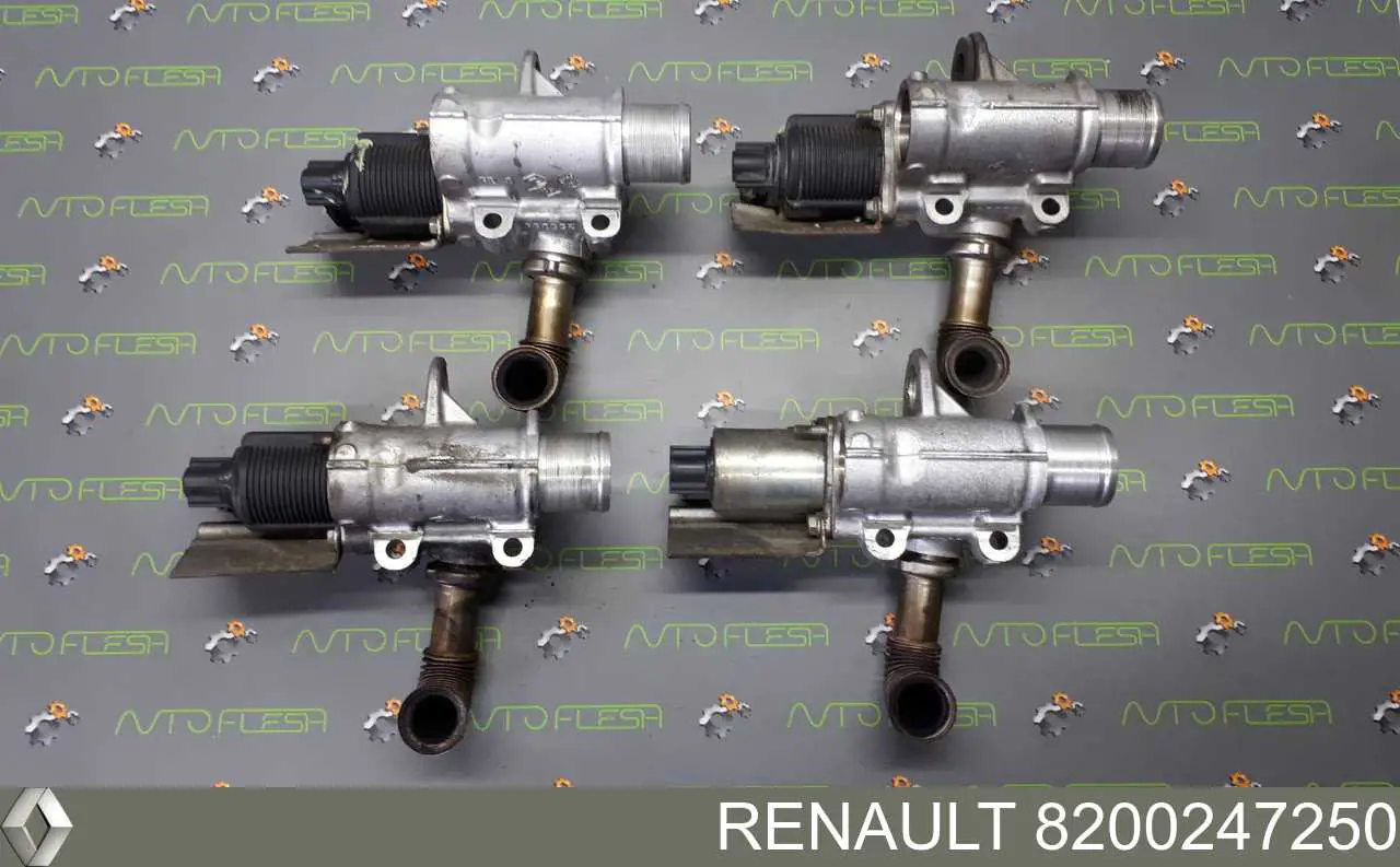 Válvula de regulación de gases Renault (RVI) 8200247250 precio, desde 70,94 EUR