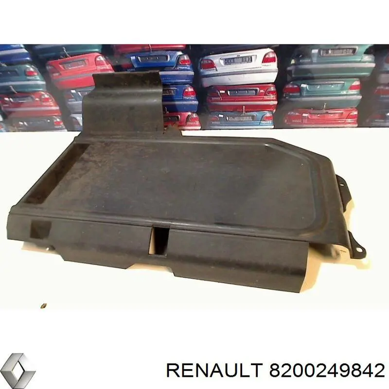 8200249842 Renault (RVI)