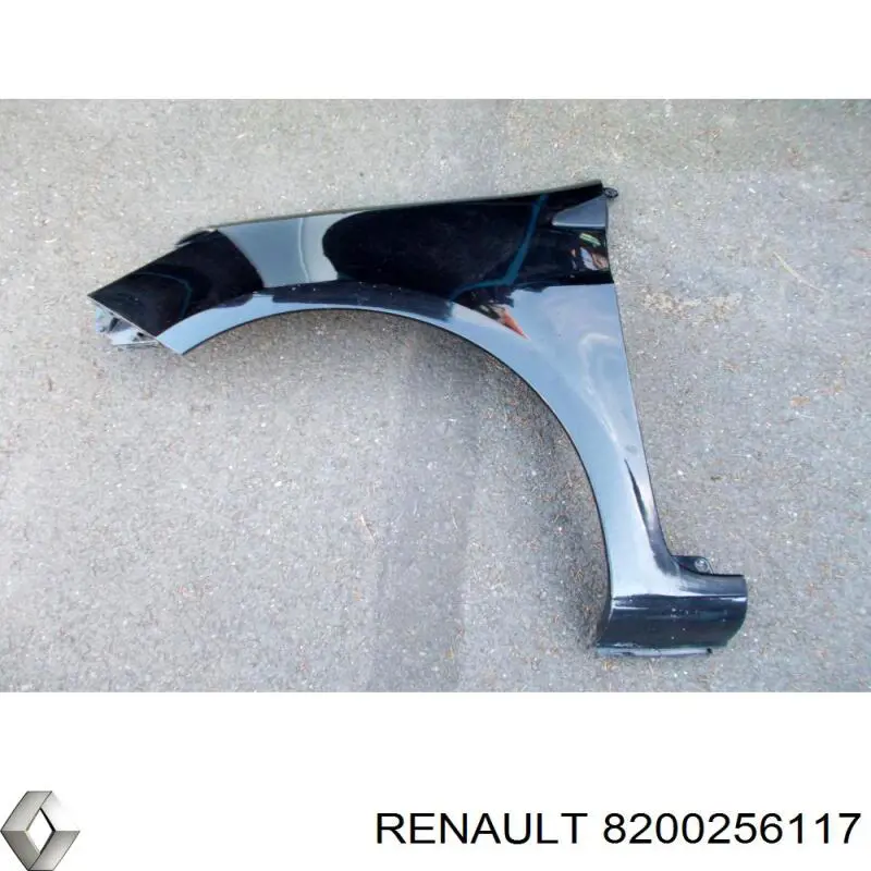 8200256117 Renault (RVI) Aleta delantera izquierda